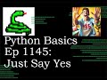 Python Basics Tutorial Just Say Yes