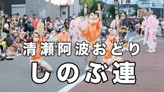 しのぶ連の色気ある女踊りと迫力ある男踊りの魅力満載の演舞をご覧ください。 / Japanese traditional dance Awa odori.