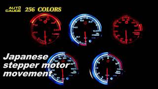 Auto Gauge 256 colors gauge(256色)