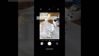 スマホで商品撮影＞ネックレスをキラキラに撮る　#商品撮影 #撮影テクニック