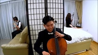 Disney Medley - Mulan, Frozen \u0026 The Little Mermaid (Erhu 二胡 Cover)[Stringanza | Erhu String Quartet]