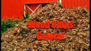 Wood Chips Galore!