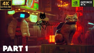 I Spent The Day With The STRAY Cat Game