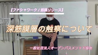 【ファシャワーク™／筋膜リリース】深筋膜層の触察について（小川隆之）／オープンパス・メソッド®／ボディワーク