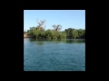 A channel of mangroves off Pemba Island, Tanzania