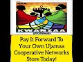 ujamaa cooperative networks