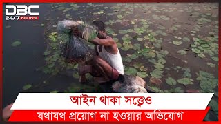 হাওর মাছশূন্য হতে চলেছে নিষিদ্ধ কারেন্ট জালের দাপটে | DBC News Special