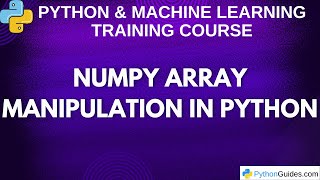 NumPy Array Manipulation in Python