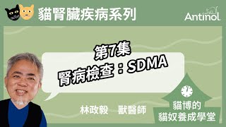 腎臟病系列_第7集｜腎病檢查：SDMA｜貓博的貓奴學堂