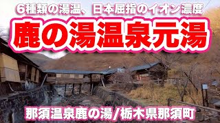 6つの湯温、日本有数のイオン濃度を誇る酸性湯【温泉】那須温泉鹿の湯/栃木県那須町〜ファミリーロッジ旅籠屋那須店に宿泊【4K】