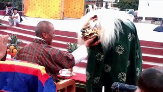 The Lion Dance - Shishi Mai For Good Fortunes in Bhutan