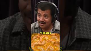 Neil deGrasse Tyson on Are Microwaves Safe to Humans Life? ☢️ #physics #microwave #health #shorts