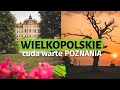 Oto WIELKOPOLSKA, która zaskakuje 🌳 PO bliższym Poznaniu / Polska Na Przełaj s02e05