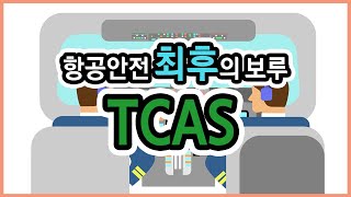 [All about ATC] TCAS(a.k.a ACAS)