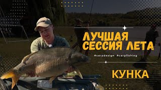 Средний вес 11,200 кг. Самая БИГовая сессия сезона. Карпфишинг.