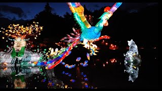 Montréal Botabical Garden: Garden of Light | Vườn hoa Montréal về đêm