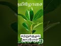 சுற்றுச்சூழல் காப்போம் tamil trending viral shorts environment nature earth