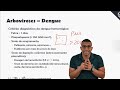 arboviroses parte 1 dengue e febre amarela módulo de infectologia aula sanarflix