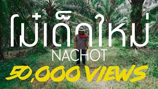 NACHOT - โหม๋เด็กใหม่ [Official Music Video]