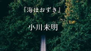 【眠くなる朗読】眠れぬ夜に快眠朗読　小川未明・作『海ほおずき』#眠れない夜に#朗読#快眠朗読