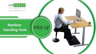 RISE UP dual motor electric adjustable height office desk bamboo desktop memory standing office desk