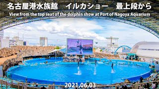 View from the top of the dolphin show | 2021.06.03