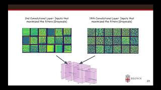 Data 2040 Final Project Screencast