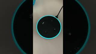 Google Home vs Siri vs Alexa