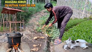 Pasang atap pondok kebun, tanam pisang, bongkar ubi rambat, hidup di hutan berkebun & ternak CR-101