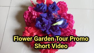 Flower Garden Tour | It's Flower blossom | Short Video | Flower Garden Tour Promo | Garden Tour