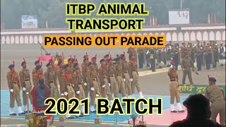 ITBP ANIMAL TRANSPORT PASSING OUT PARADE  || 2021 BATCH | ITBPian