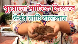 পুরনো টবের মাটি কিভাবে উর্বর মাটি তৈরি করে নিলাম।।