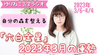 【占い】六白金星2023年3月の運勢『自分の森を整える』