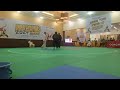 SEMI FINAL PENCAK SILAT PRAPOPNAS 2024 ZONA 2