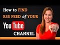 How to Find RSS Feed of Your YouTube Channel