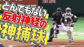 【神捕球】里崎智也、突然の投球に”跳ねて対応”