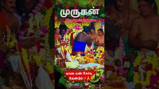 முருகன் திருமணத்தை காண கண் கோடி வேண்டும் ✨🙏#murugan#thirukalyanam#sasti#murugansongs#velmurugan