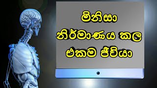 ලොව ප්‍රථම ජීවී රොබෝවරයා සෙනොබොටස්| wrold first biological robot xenobots