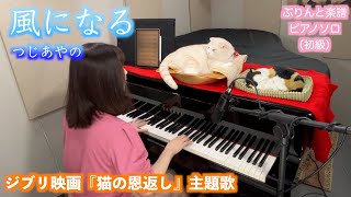 寝る前に１曲♪【風になる】つじあやの ぷりんと楽譜 ピアノソロ（初級）歌詞付き ジブリ映画「猫の恩返し」主題歌 #piano #猫とピアノ #懐メロ