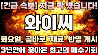 [와이씨 주가전망] ‘2대주주, 삼성전자’ 이어 SK하이닉스에도 HBM 공급 노린다! 고객사 다변화 시도중! 3분기 실적으로 가능성 확실히 보여준다! 이제는 사야할 때!