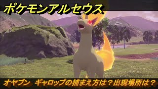 ポケモンアルセウス　オヤブン　ギャロップの捕まえ方は？出現場所は？　＃３８２　【Pokémon LEGENDS アルセウス】