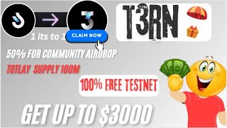 Earn Up to $300 in $T3RN Airdrop 🌟 | Complete Testnet Guide for 2024 🚀