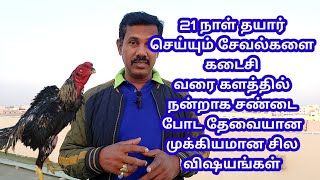 21 நாள் தயார் செய்யும் Savalகளை 👉களத்தில்👈 கடைசிவரை நன்றாக பறக்க தேவையான 🫂🤩முக்கியமான விஷயங்கள்👌