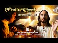 Sinhala Reflection | Daily Reflection 23rd November | Rev. Fr. Dinanja Silva | The Catholic View