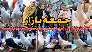 جمعه بازار- کفتری که زور خریدار نمیرسد، تاپترین کفتر ها || جریاد خرید و فروش || Friday Pigeon Bazar