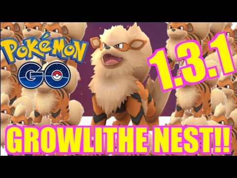 HOW TO GET (EASY) ARCANINE!! GROWLITHE NEST POKEMON GO!! 1.3.1 HOW TO GET (EASY) ARCANINE!! GROWLITHE NEST POKEMON GO!! 1.3.1
