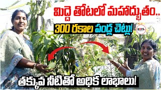 మిద్దె తోటలో 300 రకాల పండ్ల చెట్లు! Ramadevi Terrace Garden | Rare Plants in Midde Thota | Hope TV