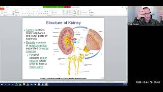 Physiology Ch 17