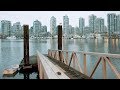 Vancouver waters show high E. coli levels