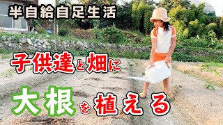 【田舎暮らし　自給自足】田舎暮らしならではの半自給自足生活、今回は冬野菜の大根を子供達と植えました！